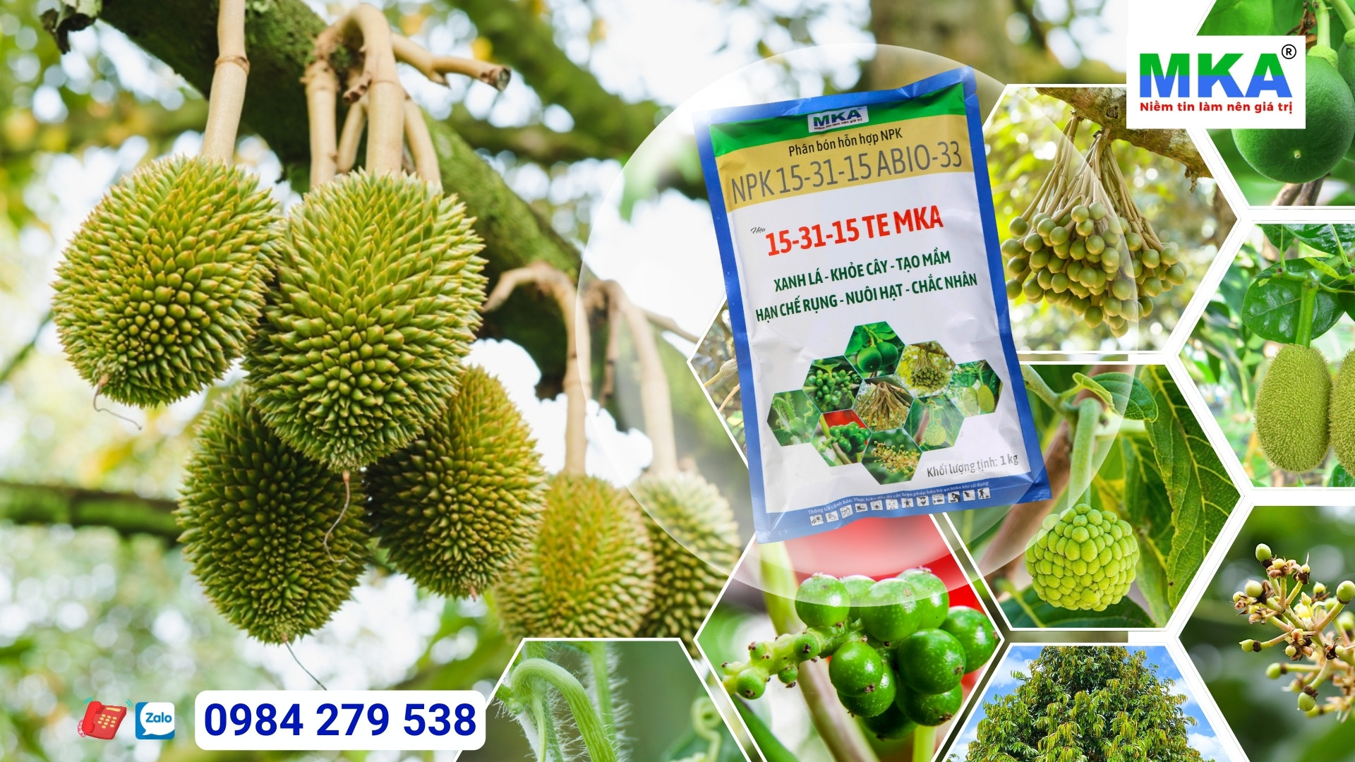 Công dụng Phân bón NPK 15-31-15 + TE